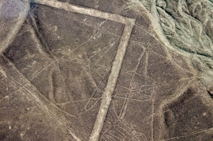 Nasca Lines - Whale