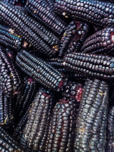 Purple Peruvian Corn 