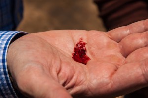 Cochineal buggies, ...and after.